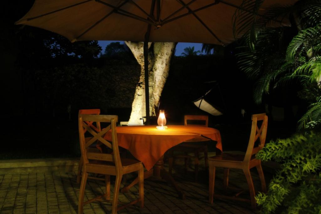 Lodge 19 Negombo Extérieur photo