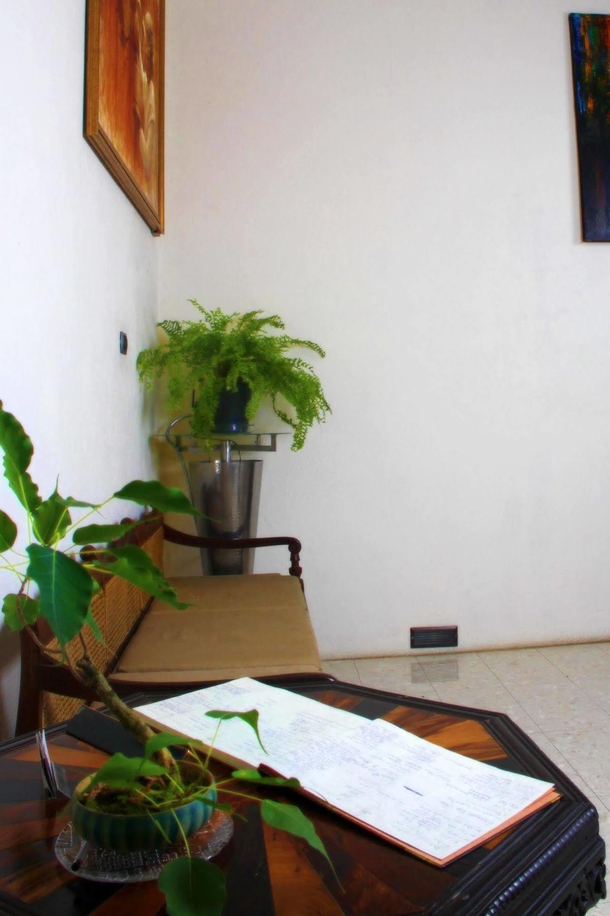 Lodge 19 Negombo Extérieur photo